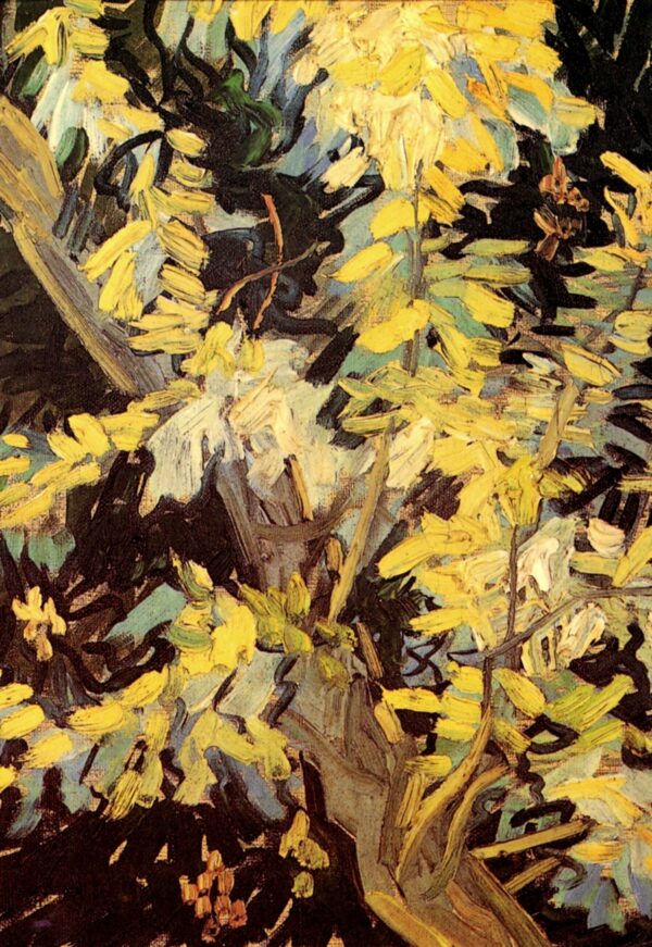 Acacias florecientes – Van Gogh Vincent Van Gogh mx.artemisreproduction.com