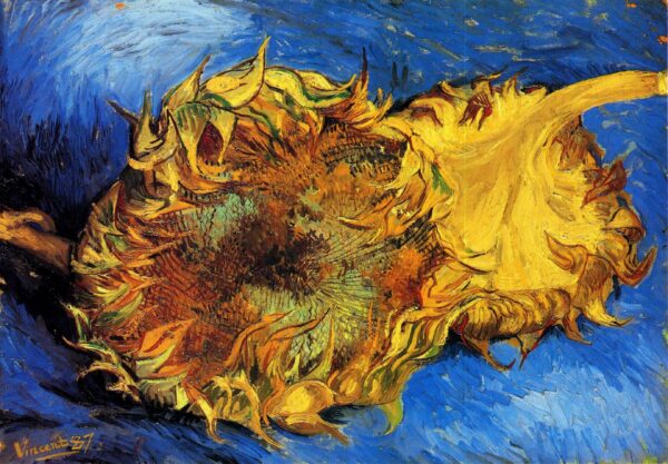 Dos girasoles cortados – Van Gogh Serie Girasoles de Vincent van Gogh mx.artemisreproduction.com