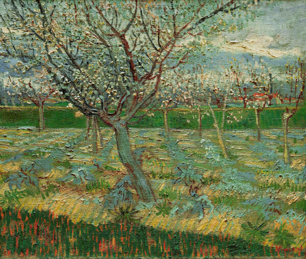 Verger en flores – Van Gogh Vincent Van Gogh mx.artemisreproduction.com