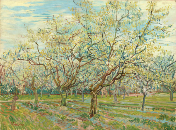 El huerto blanco – Van Gogh Vincent Van Gogh mx.artemisreproduction.com