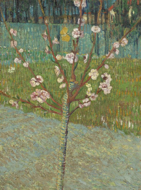 Almendro en flor – Van Gogh Vincent Van Gogh mx.artemisreproduction.com