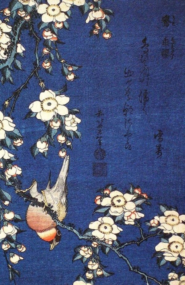 Bouvreuil y flores de cerezo llorón – Katsushika Hokusai Katsushika Hokusai mx.artemisreproduction.com