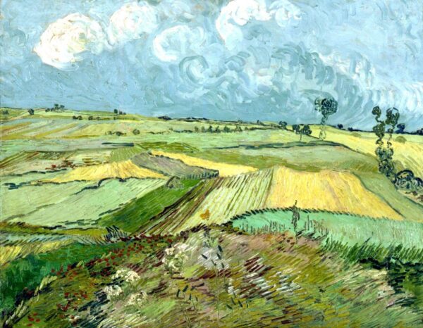 Campos de trigo después de la lluvia – Van Gogh Vincent Van Gogh mx.artemisreproduction.com