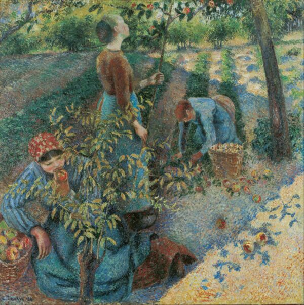 Cosecha de manzanas – Camille Pissarro Camille Pissarro mx.artemisreproduction.com