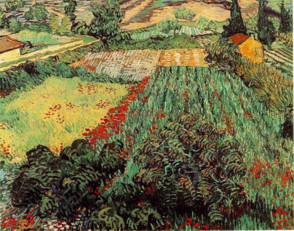 Campos de amapolas – Van Gogh Vincent Van Gogh mx.artemisreproduction.com