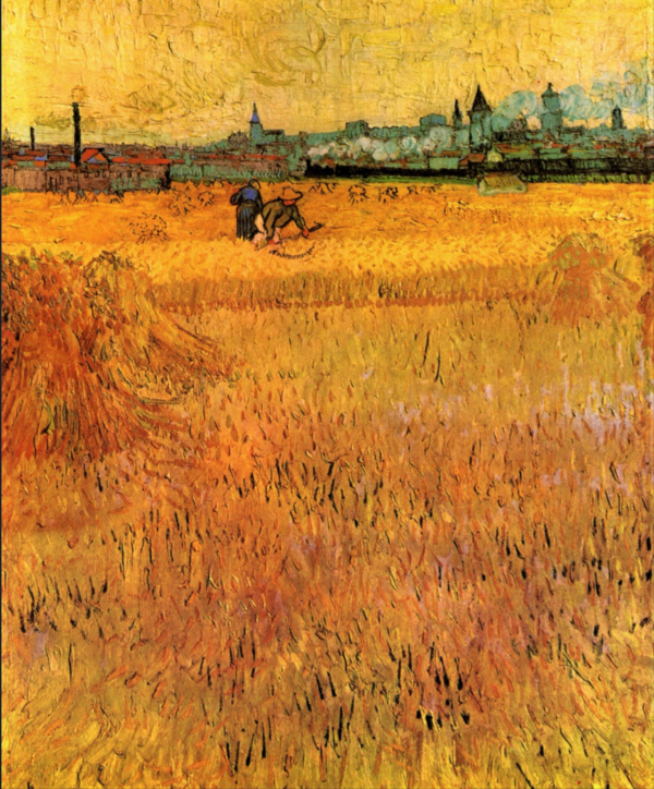 Campo de trigo en Arles – Van Gogh Vincent Van Gogh mx.artemisreproduction.com