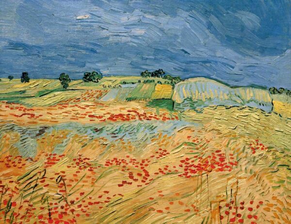 Campos de amapolas en flor – Van Gogh Vincent Van Gogh mx.artemisreproduction.com