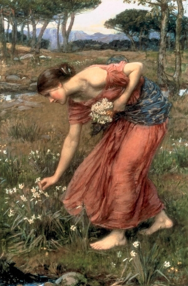 Narciso – John William Waterhouse John William Waterhouse mx.artemisreproduction.com