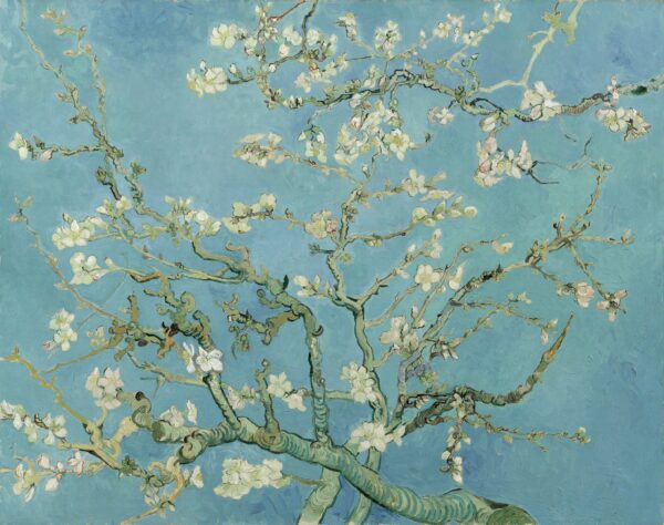 Los almendros en flor – Van Gogh Cuadros Populares mx.artemisreproduction.com