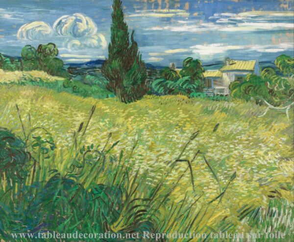 El campo de trigo verde con cipreses – Van Gogh Cuadros Populares mx.artemisreproduction.com