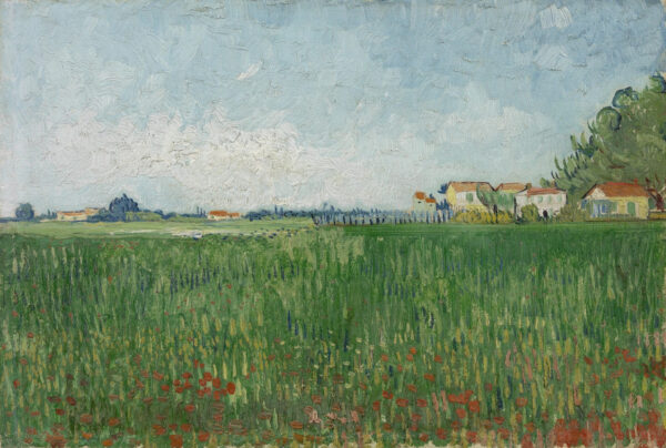 Campo de amapolas – Van Gogh Vincent Van Gogh mx.artemisreproduction.com