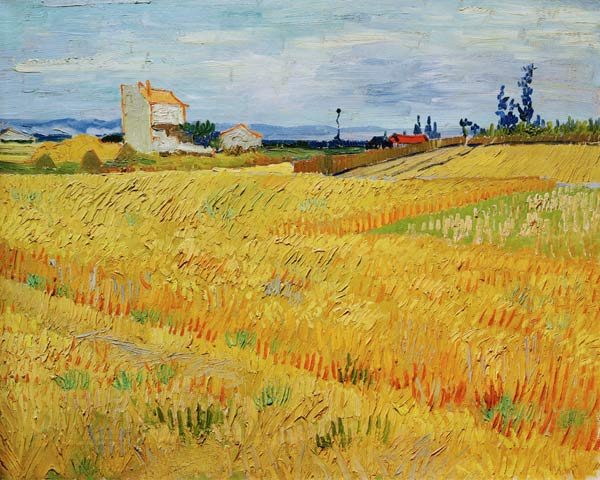 Campo de trigo – Van Gogh Vincent Van Gogh mx.artemisreproduction.com