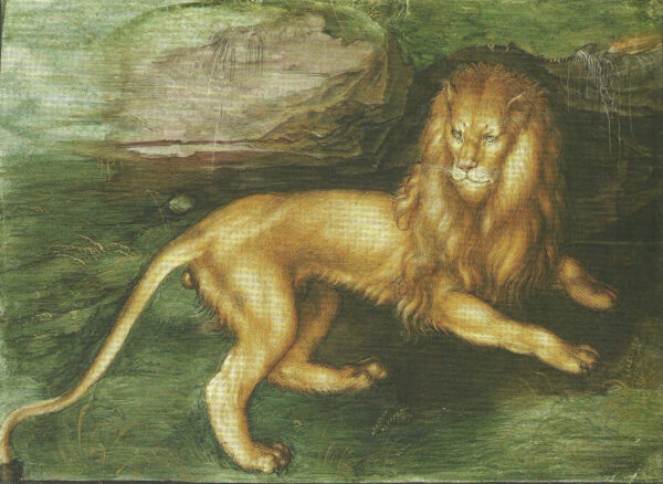 León – Albrecht Dürer Albrecht Dürer mx.artemisreproduction.com