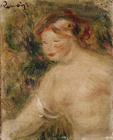 Un torso de mujer – Pierre-Auguste Renoir Pierre-Auguste Renoir mx.artemisreproduction.com