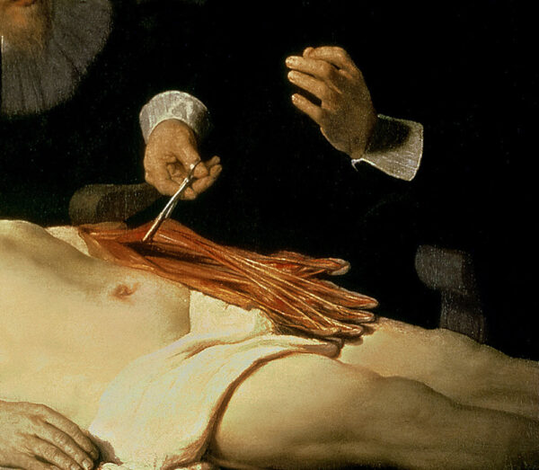 La lección de anatomía del Dr. Nicolaes Tulp, 1632 (detalle de 7543) de Rembrandt van Rijn Rembrandt van Rijn mx.artemisreproduction.com