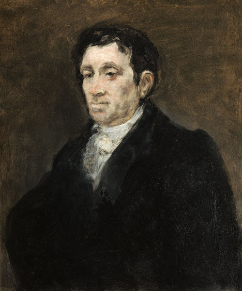 Retrato de José Pío de Molina – Francisco de Goya Francisco de Goya mx.artemisreproduction.com