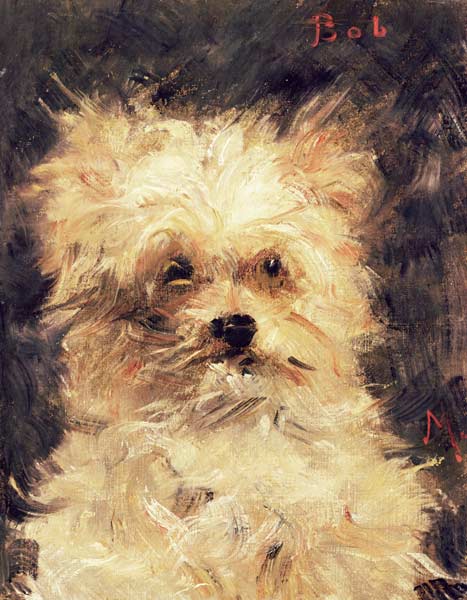 Cabeza de un perro “Bob” – Edouard Manet Édouard Manet mx.artemisreproduction.com