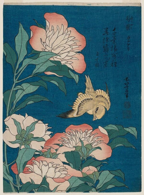 Hokusai, peonías y canario (shakuyaku, kanaari), de una serie sin título conocida como pequeñas flores – Katsushika Hokusai Katsushika Hokusai mx.artemisreproduction.com