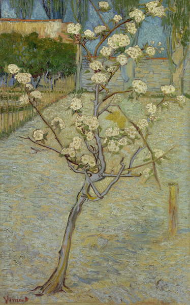 Pajarito en flor – Van Gogh Vincent Van Gogh mx.artemisreproduction.com