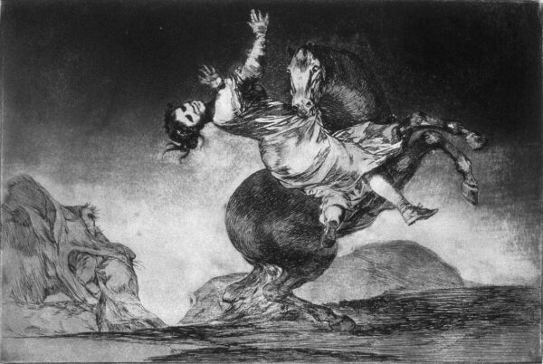 El caballo raptor – Francisco de Goya Francisco de Goya mx.artemisreproduction.com